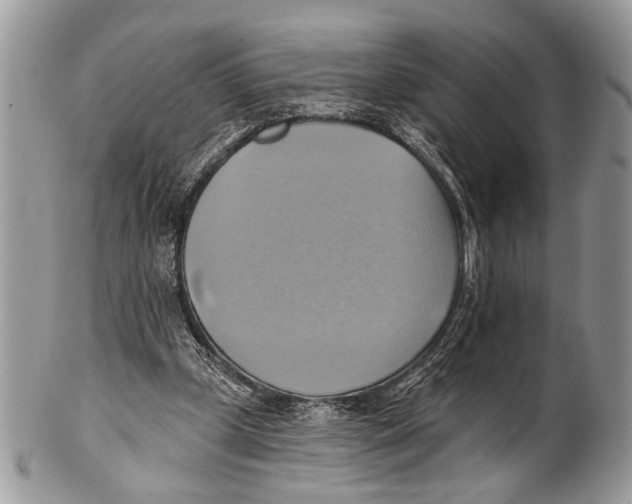 X0000101160249200807251117