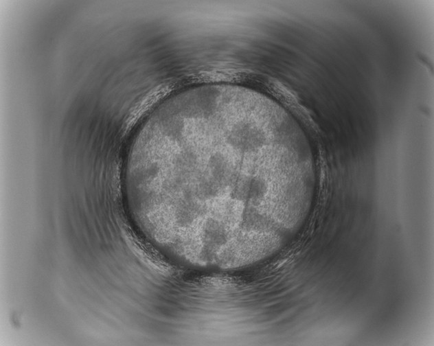 X0000101160250200807251117