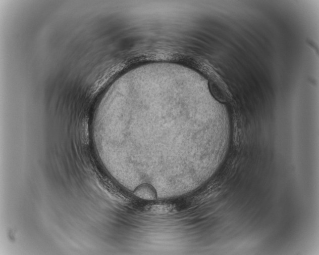 X0000101160251200807251117