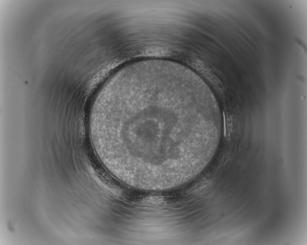 X0000101160252200807251117