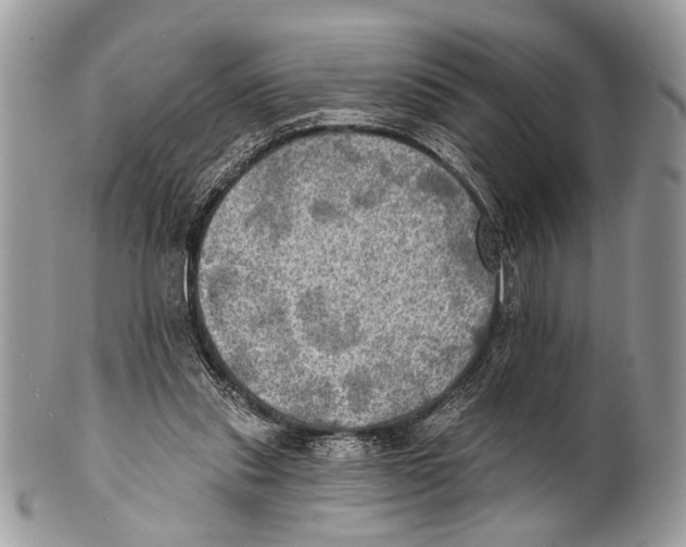 X0000101160253200807251117
