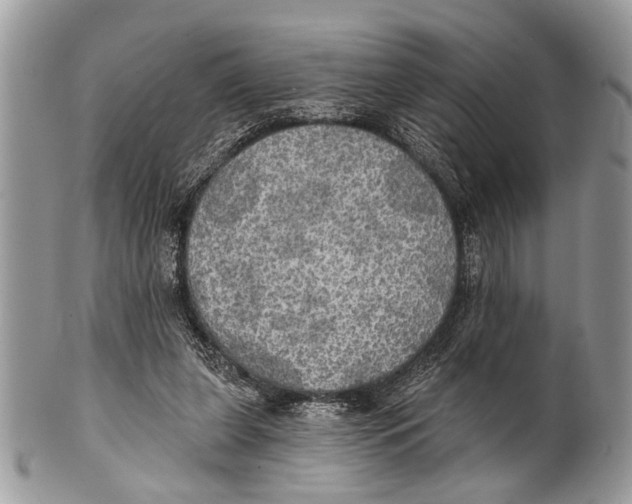 X0000101160255200807251117