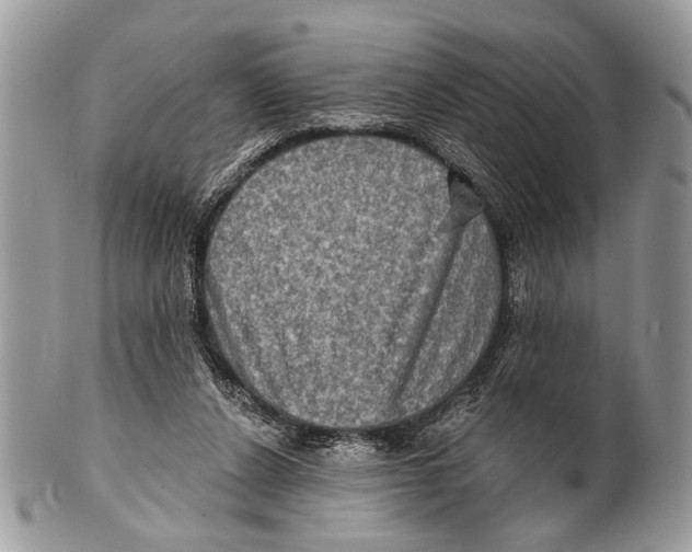 X0000101160256200807251117