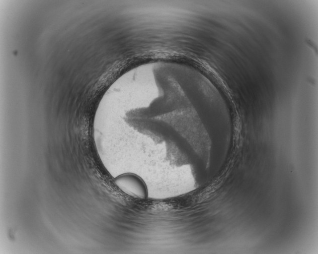 X0000101160257200807251117