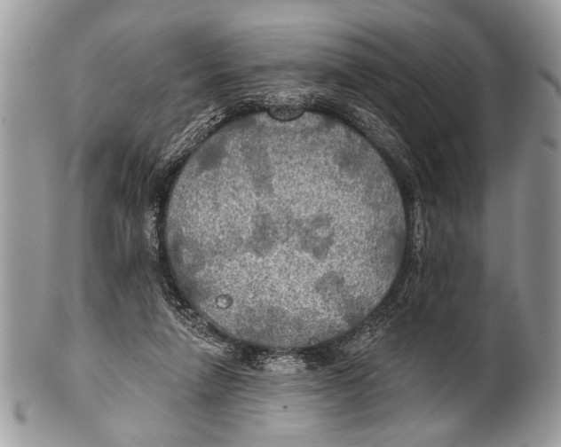 X0000101160258200807251117
