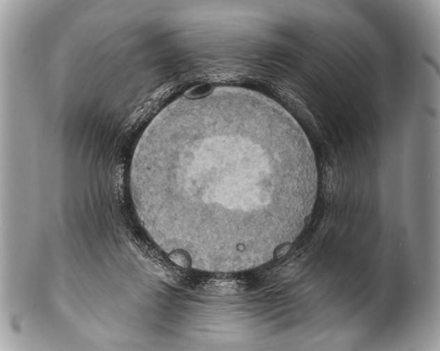 X0000101160260200807251117