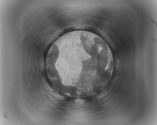 X0000101160261200807251117