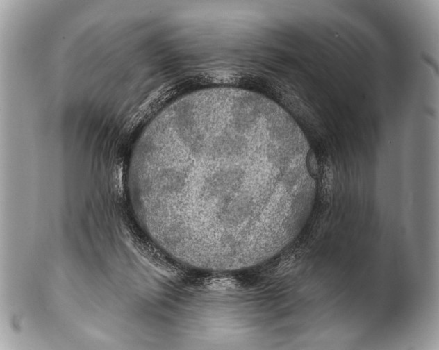 X0000101160262200807251117