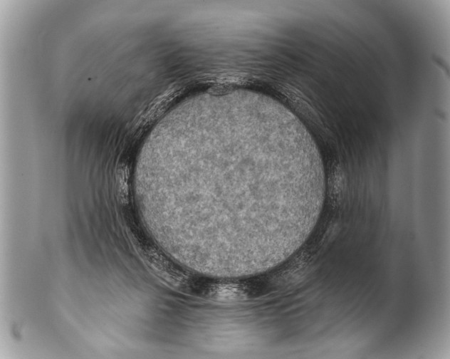 X0000101160264200807251117