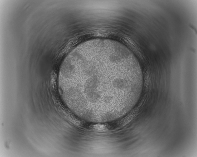 X0000101160265200807251117