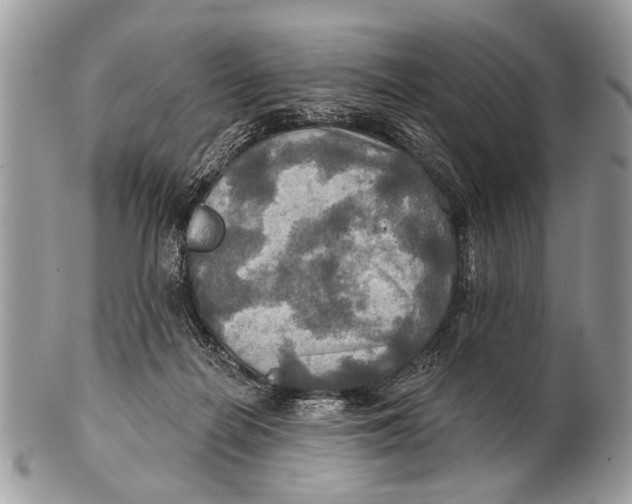 X0000101160266200807251117