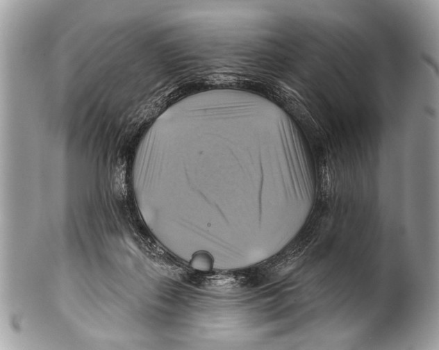 X0000101160267200807251117