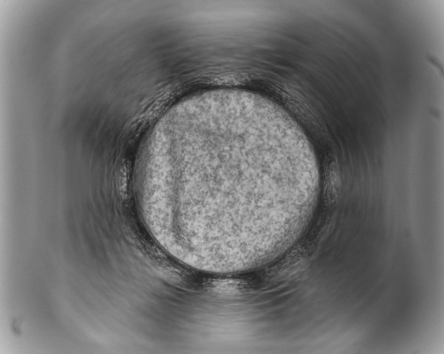 X0000101160268200807251117