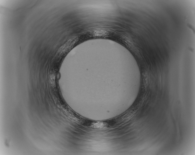 X0000101160269200807251117