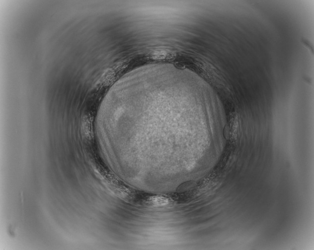 X0000101160272200807251117