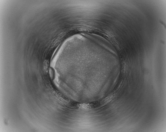 X0000101160273200807251117