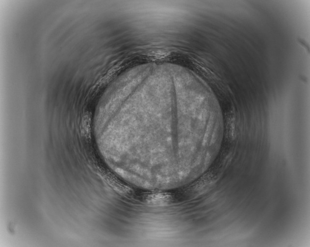 X0000101160274200807251117