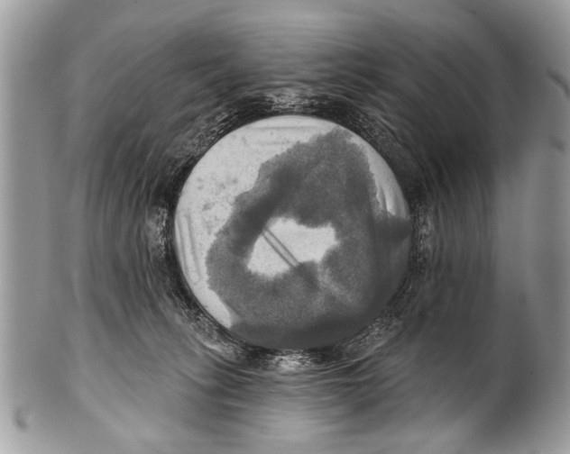 X0000101160275200807251117