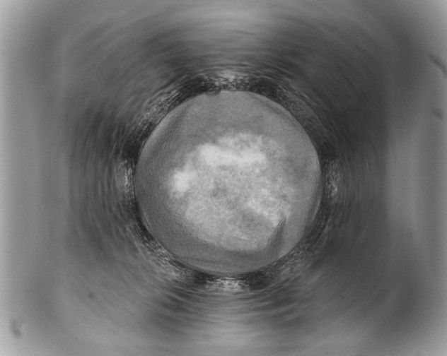 X0000101160276200807251117