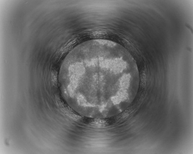 X0000101160278200807251117
