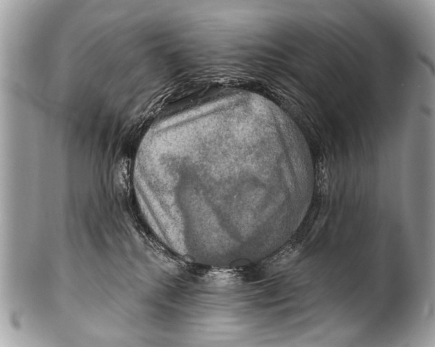 X0000101160280200807251117