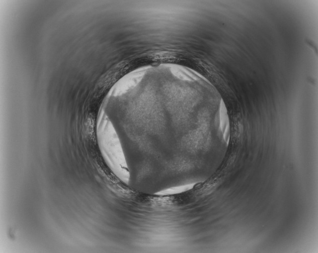 X0000101160281200807251117