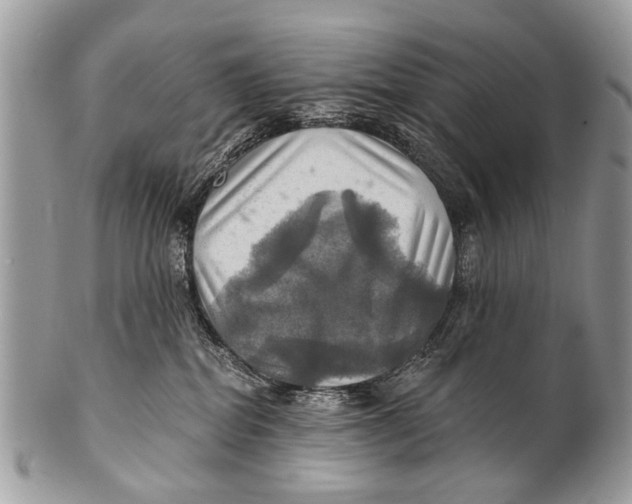 X0000101160282200807251117