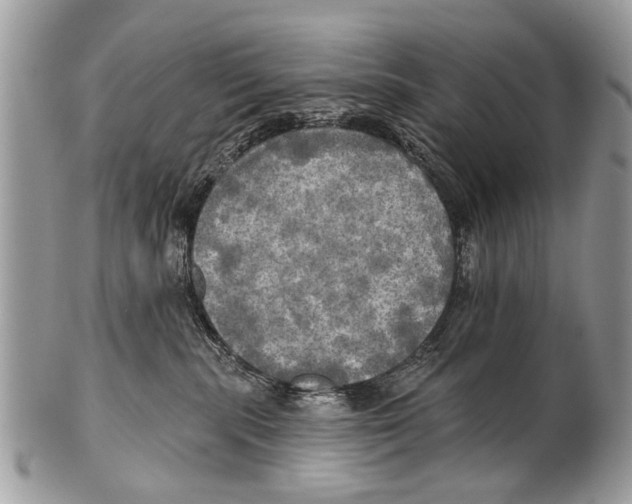X0000101160283200807251117