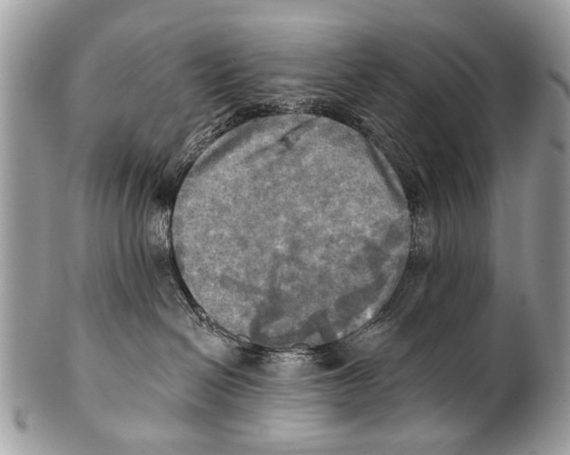 X0000101160286200807251117