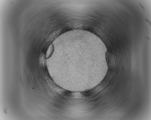 X0000101160287200807251117