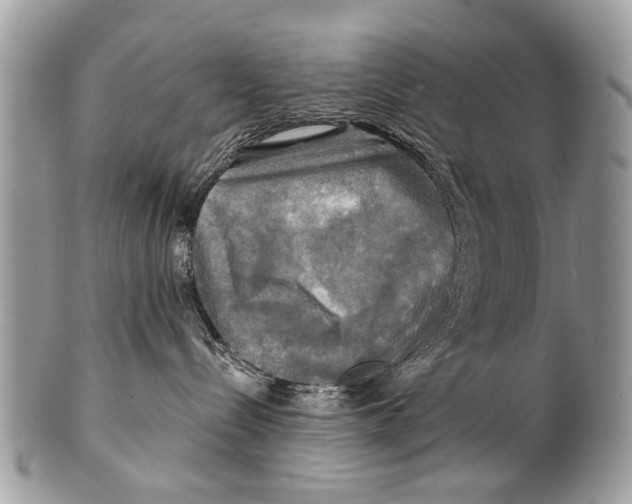X0000101160288200807251117