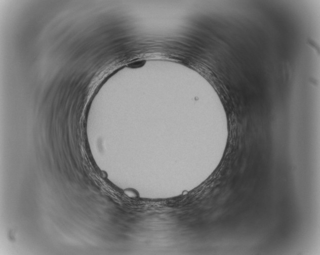 X0000101160289200807251117