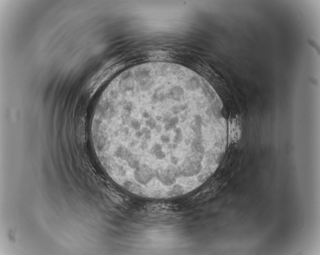 X0000101160291200807251117