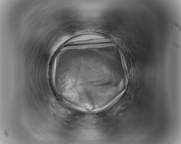X0000101160292200807251117