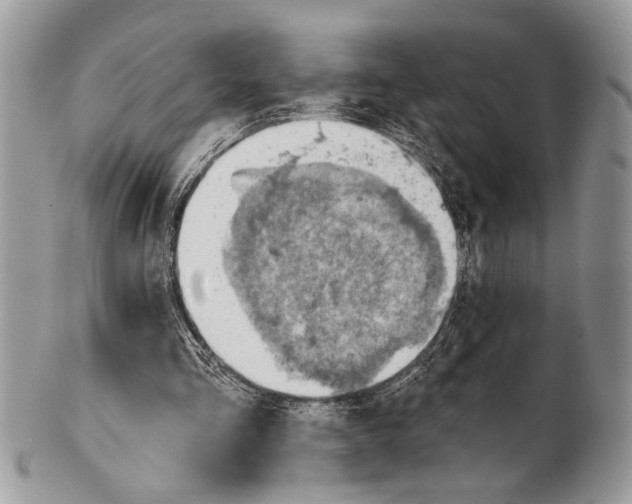 X0000101160293200807251117