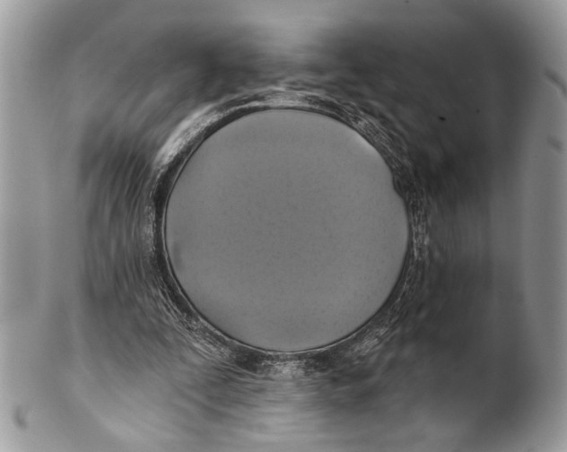 X0000101160295200807251117
