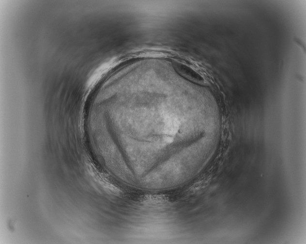 X0000101160296200807251117