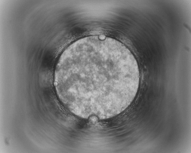X0000101160297200807251117