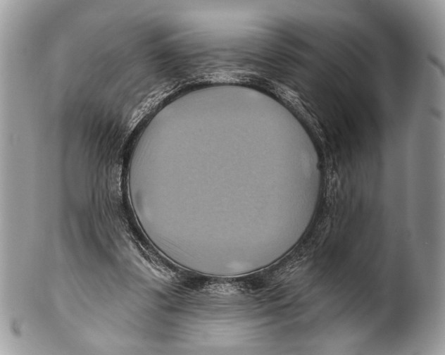 X0000101160299200807251117