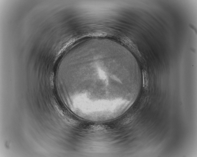 X0000101160300200807251117