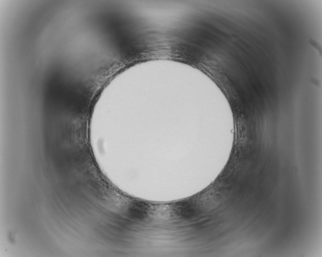 X0000101160301200807251117