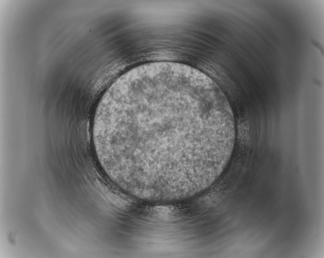 X0000101160302200807251117