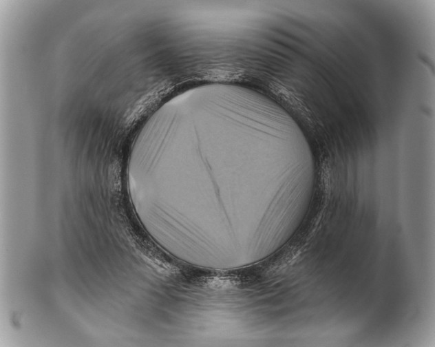 X0000101160303200807251117