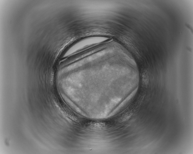 X0000101160304200807251117