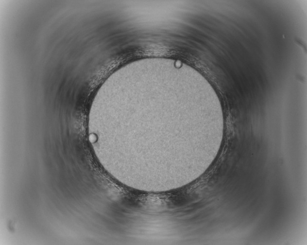 X0000101160305200807251116
