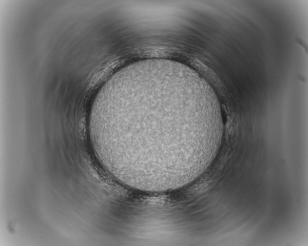 X0000101160306200807251116