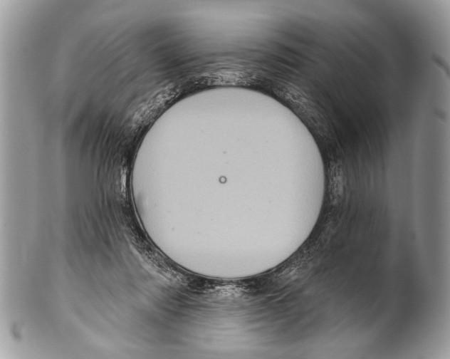 X0000101160310200807251116