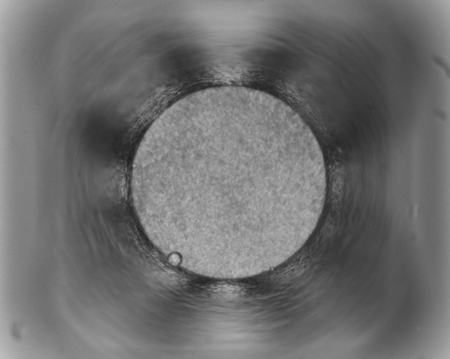 X0000101160313200807251116
