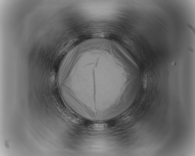 X0000101160314200807251116