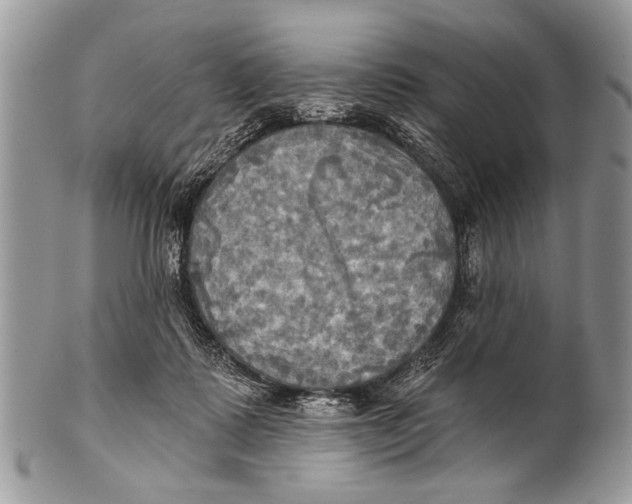 X0000101160315200807251116